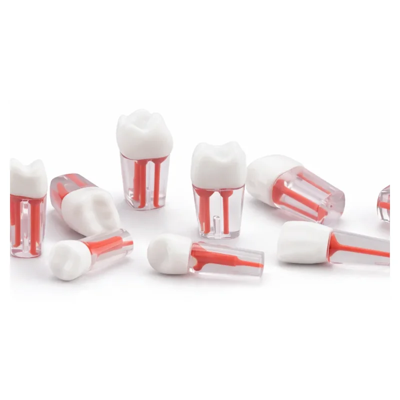 Este set de dientes de práctica para endodoncia — Endodoncia en Lima, Perú